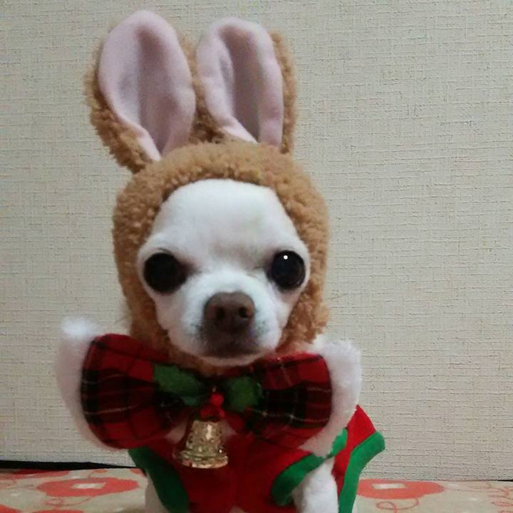 A7e1507e e96d 4aee 8c1c 9c305a2efa4f