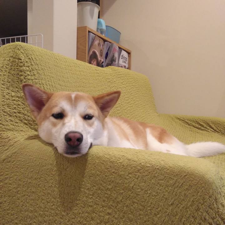 A7e267d5 300c 4be5 8ae2 b7d97f6ecd78