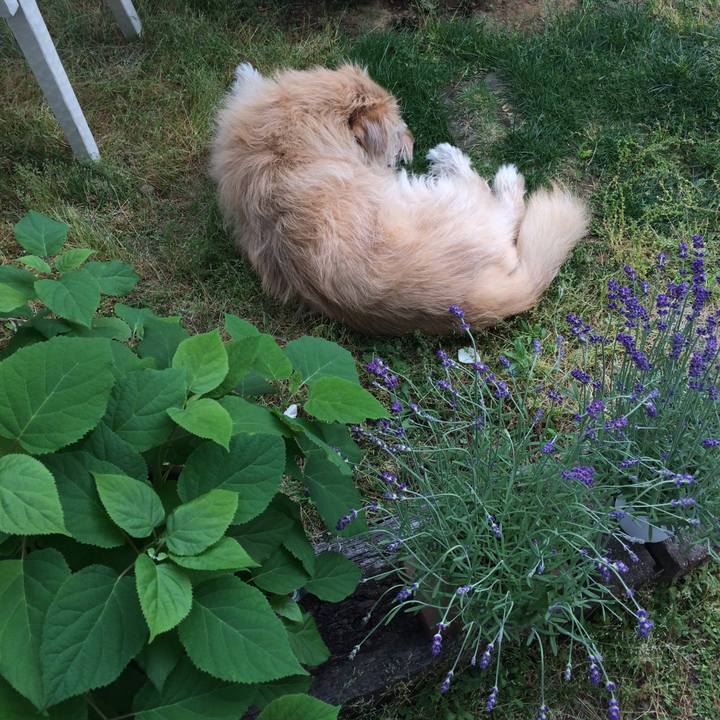 A7e2effc cc01 42ae b15a d0966347d5fb