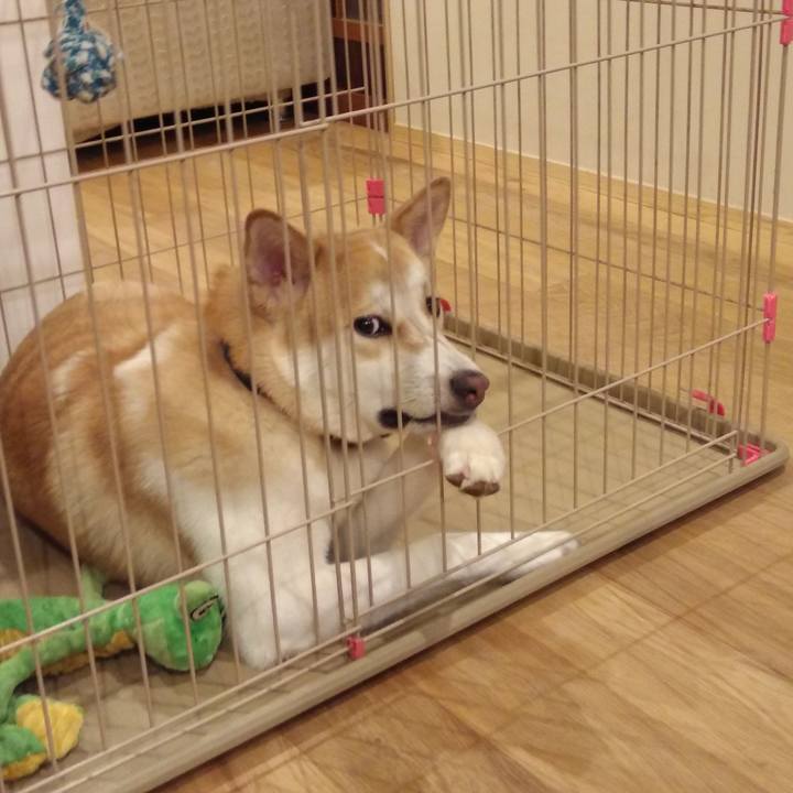 A7e2fc0b 926d 45c0 a184 f0f21f38e831