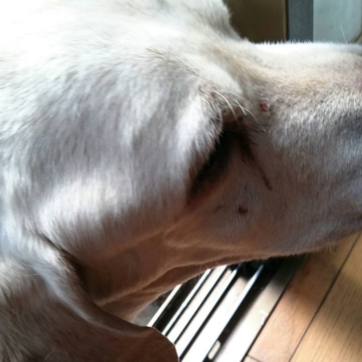 A7e30b45 cd07 4946 9b5f 5afb43d11769