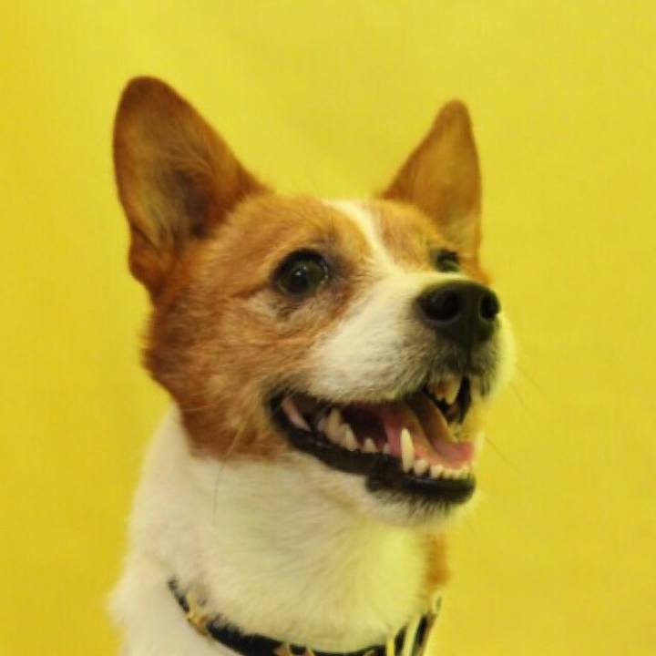 A7e33224 4506 4c7f a000 2ffaeeb75bd2