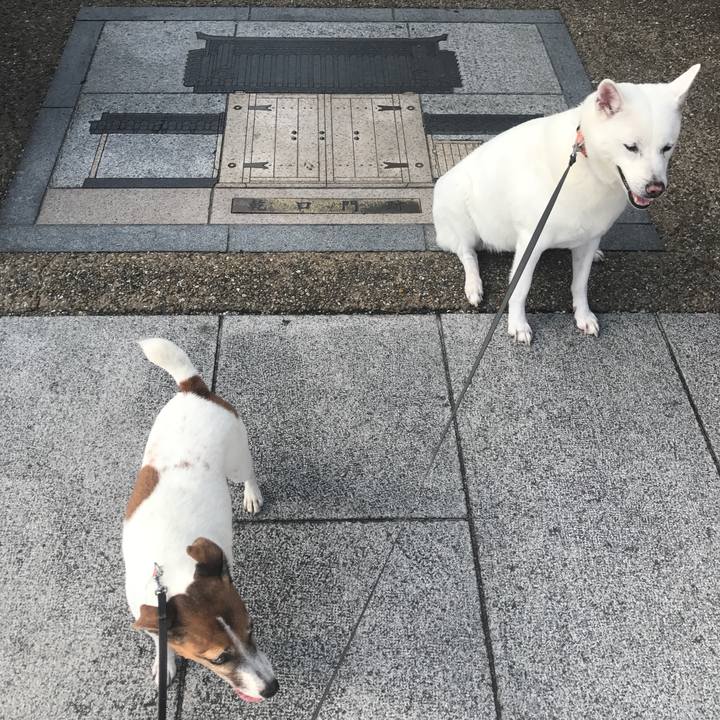 A7e3ae84 3160 4b3a a860 80e82eb70f66