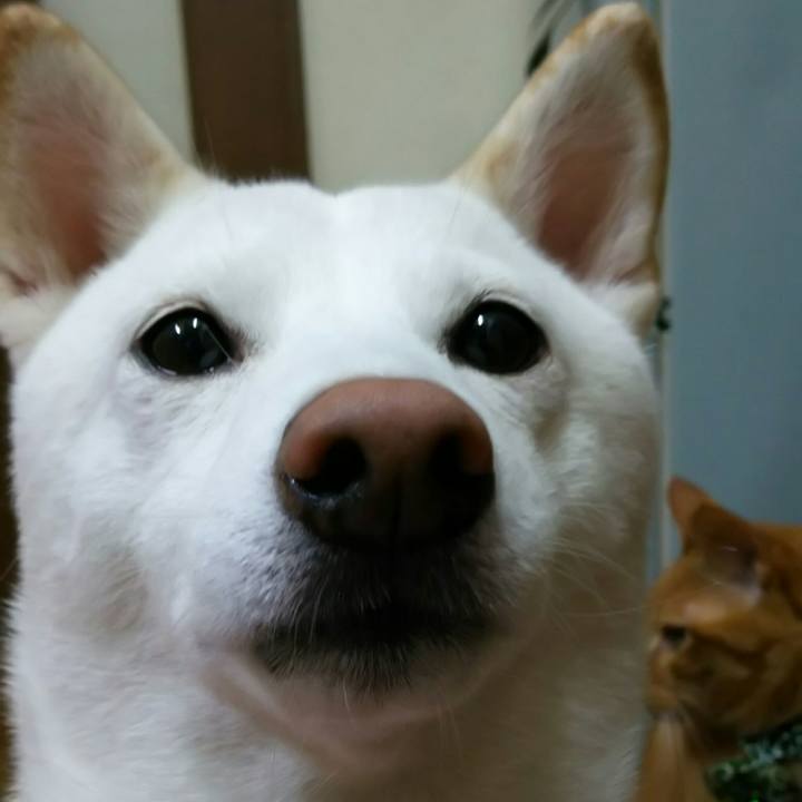 A7e3b3ef b756 4706 a9d9 c0e2ecddf786