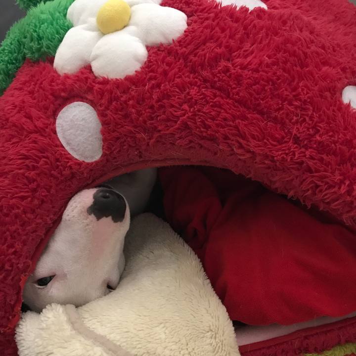 A7e4a8c2 c0e3 4f13 9b3f c1d4e87260d5