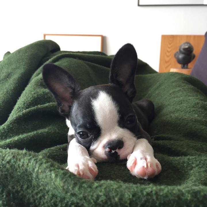 A7e5a79d d646 4fd9 b41c f4c19227c98d