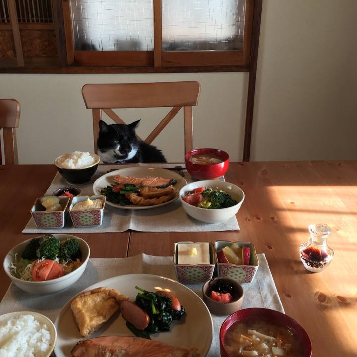 A7e5b806 eb6f 405c a36c 0273960c94c9