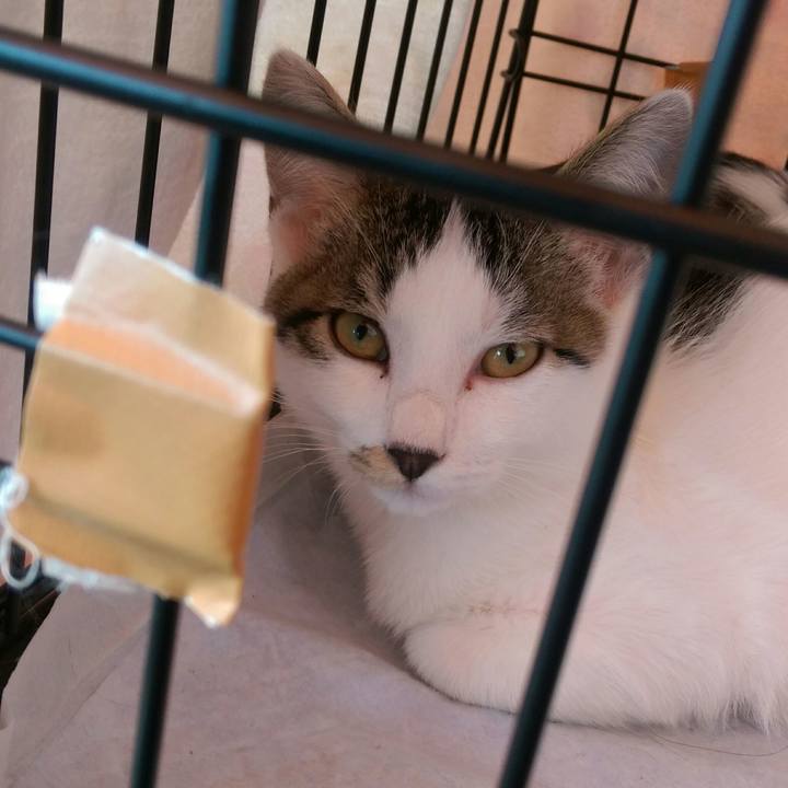 A7e5d8da f0b2 46f1 ba3a 884203b74fa2