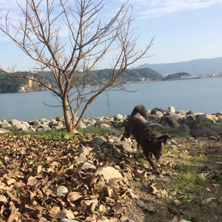 A7e60a4e 8b45 40e1 9399 2dcaeb20fc08