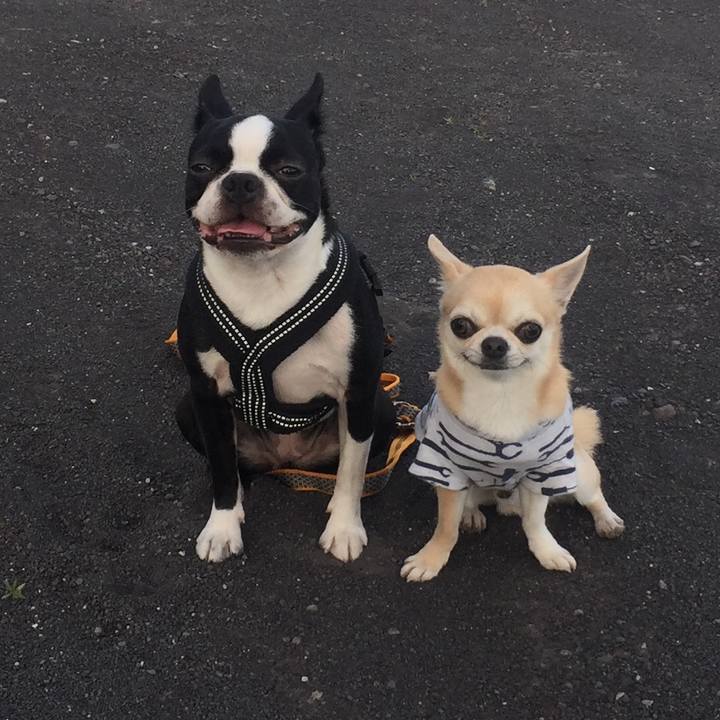 A7e6da67 69b3 4297 837c 45a6616b7b60