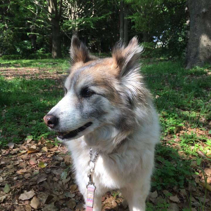 A7e72459 4275 4612 9fa5 01f4ac63817b