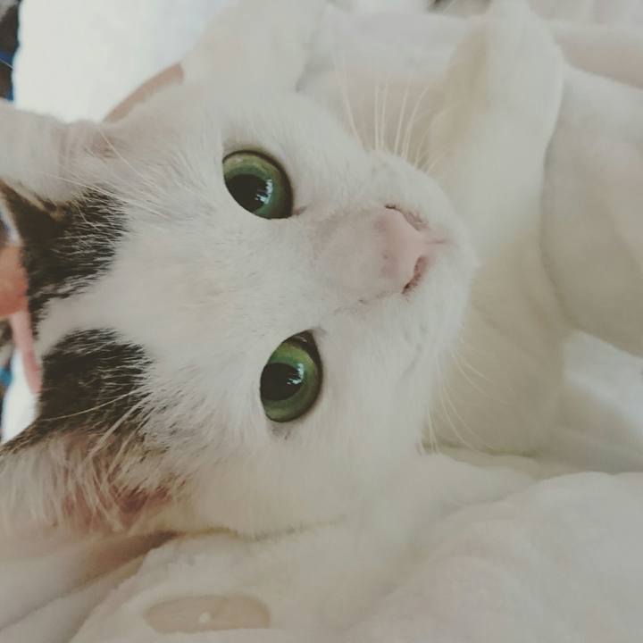 A7e753fd b773 4da6 85c9 fddfa0131127