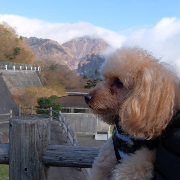 A7e7b53c 8532 4e8a a828 844cb373f2d4