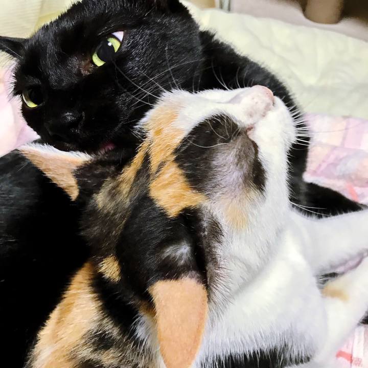 A7e80262 db86 43a5 bd7f 7de3a71e64ee