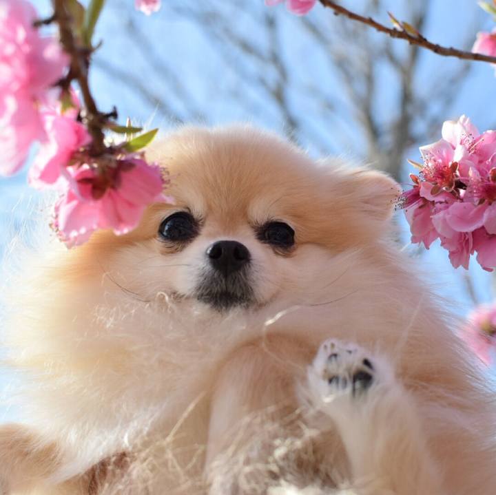 A7e8318b 8e41 44cd 8fe5 4a147d6f883a