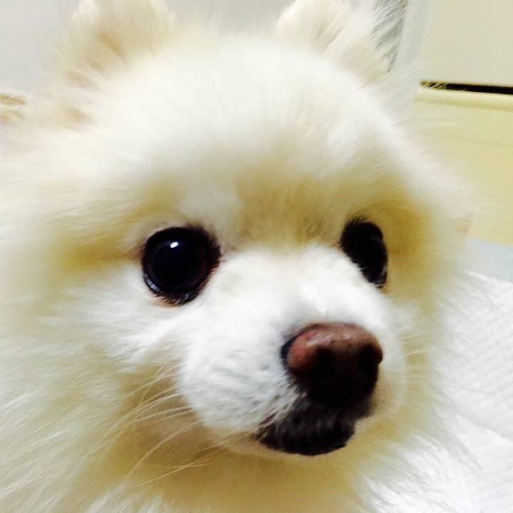 A7e8c59f 3546 41bd 883e ce092599a7e9