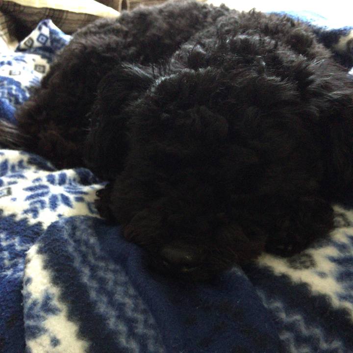 A7e92836 c181 45dc a1e5 23794acaf754