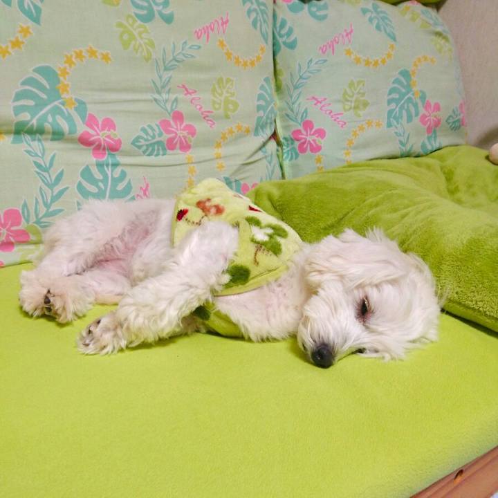 A7ea0c88 6da1 494b b2bc e4019d2478bf