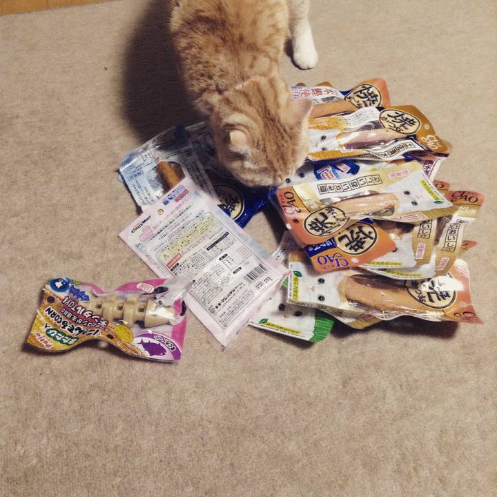 A7eab069 06e3 4d65 8585 e592cc8b476b