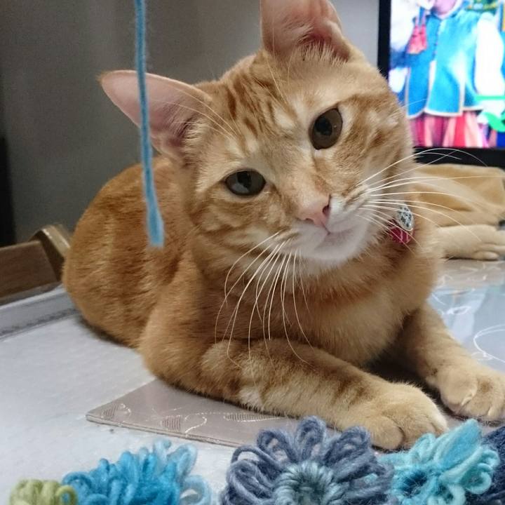 A7eb3e9a 3cab 43d0 8143 dfddcb7610d5