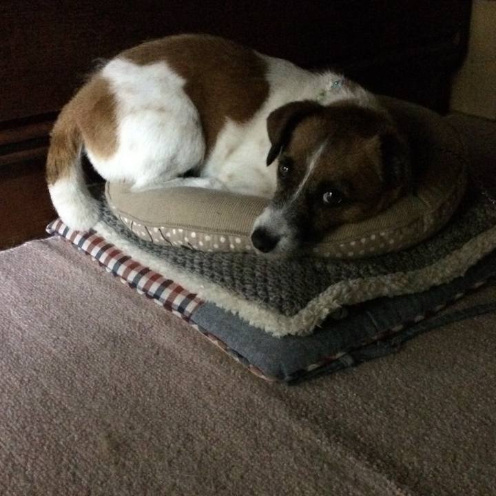 A7ee3e5a 2e8c 4c30 b563 32715733fea6