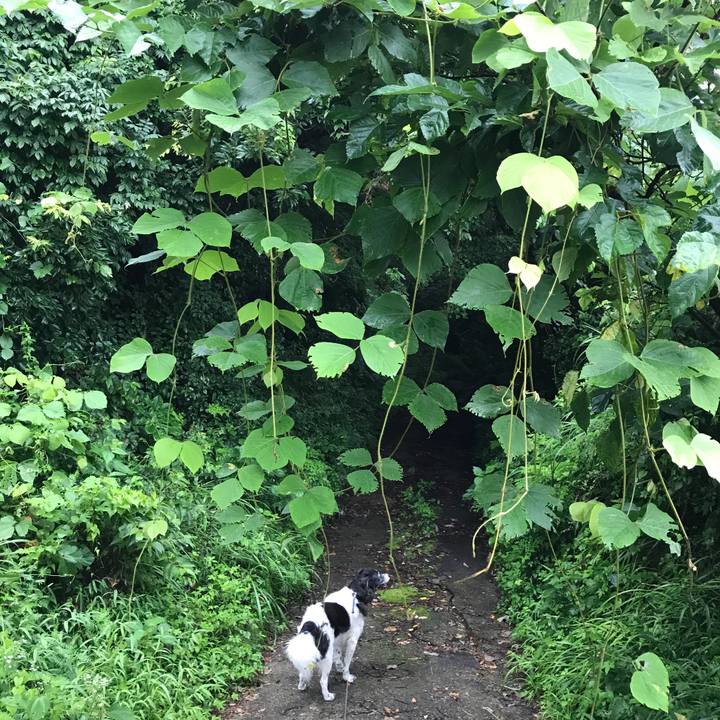 A7ee6dea f927 4a63 9123 be493370873a