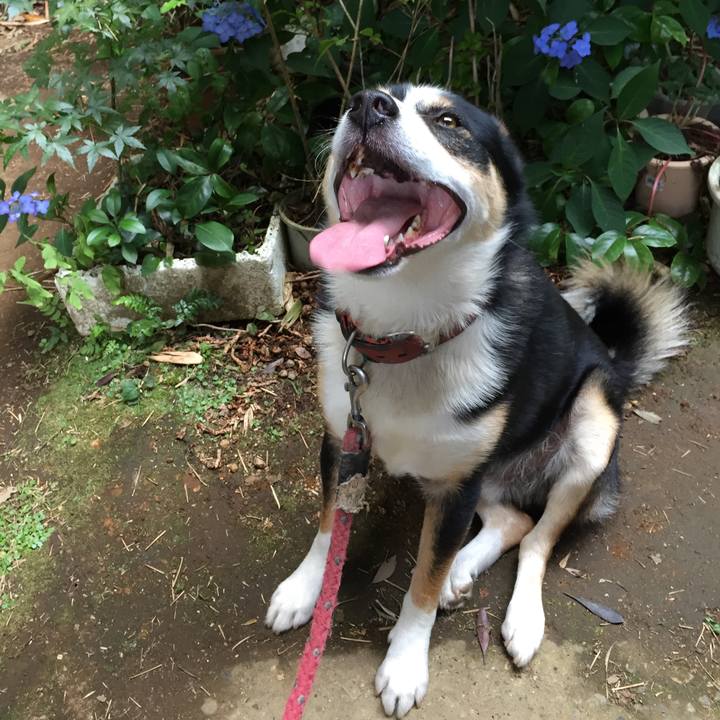 A7eeb5f3 bd58 44cd 968e 0e0a9bc2aad0