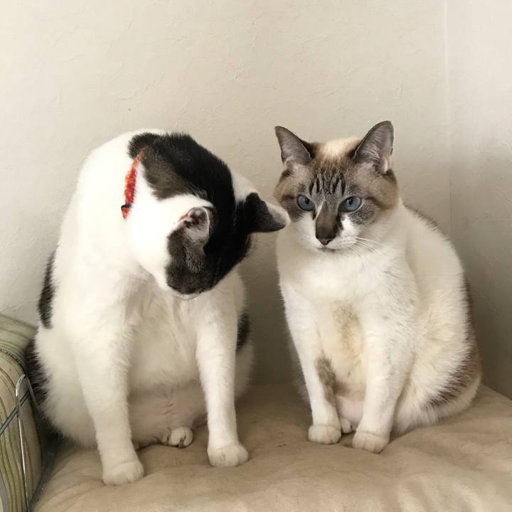 A7eebfac 5749 4580 8836 9045397a94ae