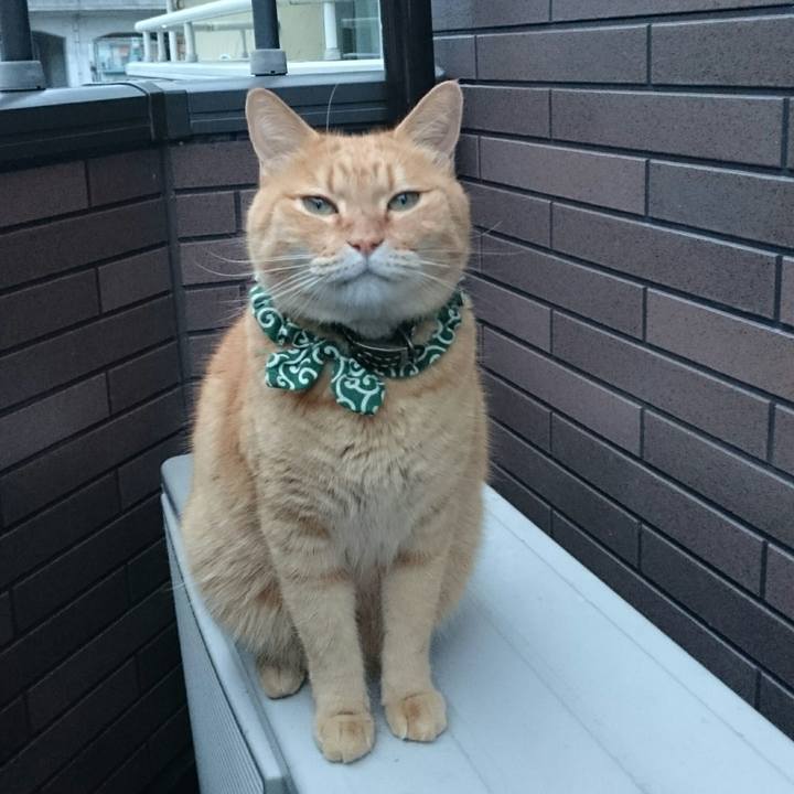 A7ef0f56 b3ec 4500 9231 7d31bdbbd160