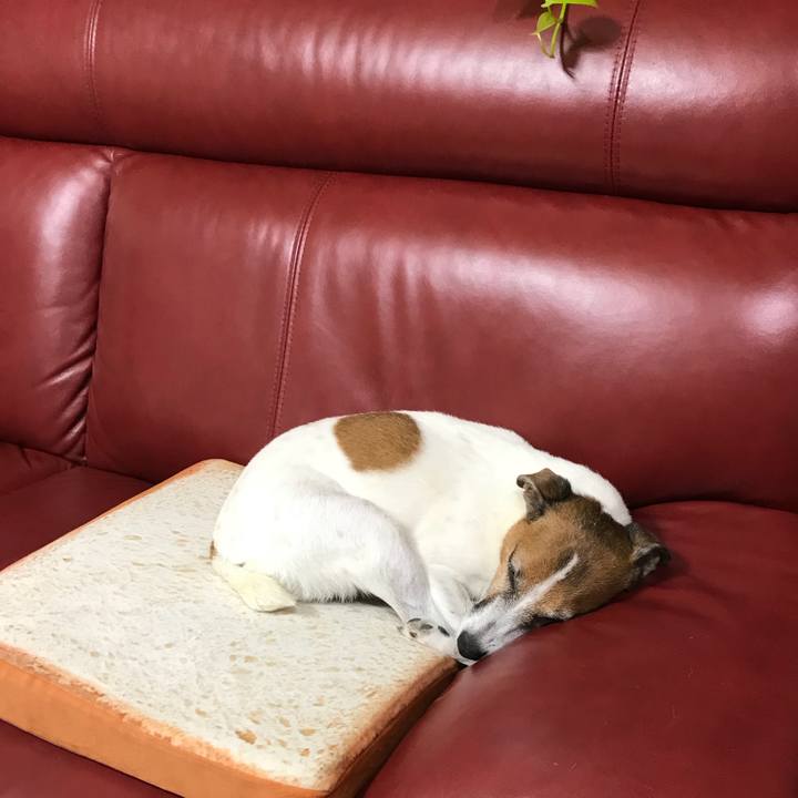 A7ef347b a19b 4400 bc4e 765b73cfd10b