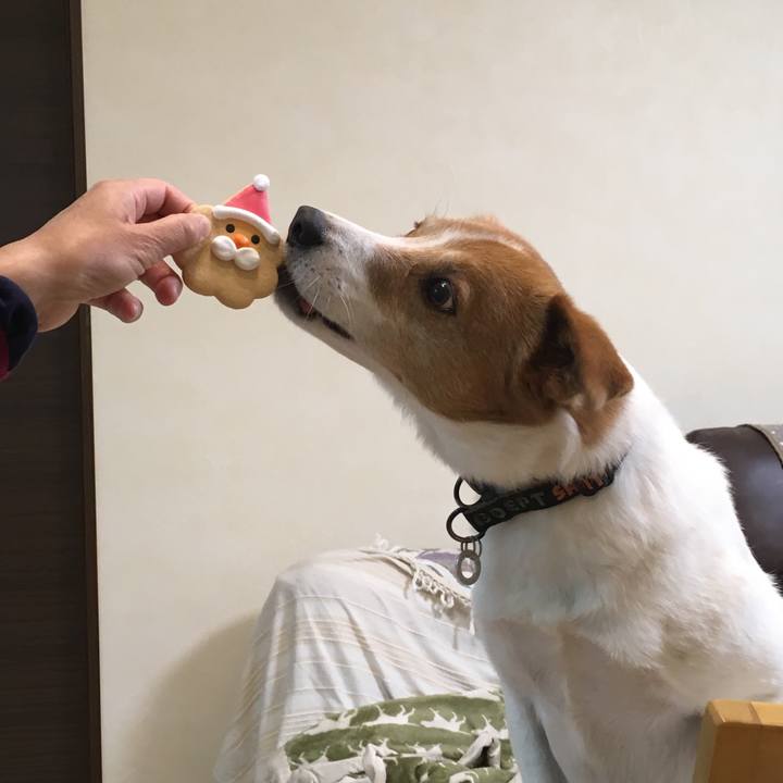 A7f136e8 a99c 4b77 9361 5c11a12866e7