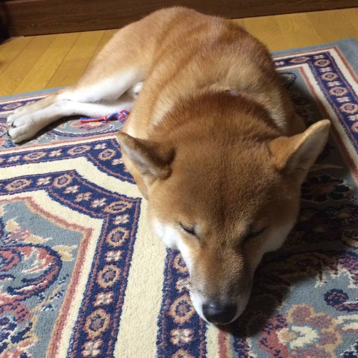 A7f15d24 8ba8 4f54 b93d 35754c4e0a9a