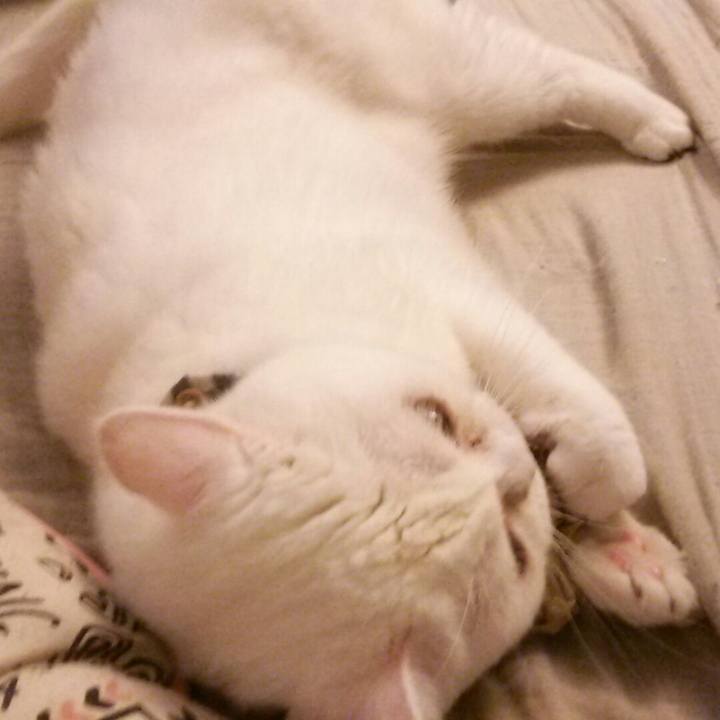 A7f1a1f8 8bbd 4ec6 8abe 42e7c12b2c1f