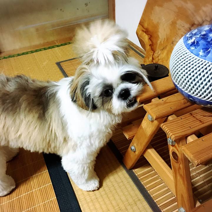 A7f1a81c e07d 46b3 84d4 3ac6af71be11