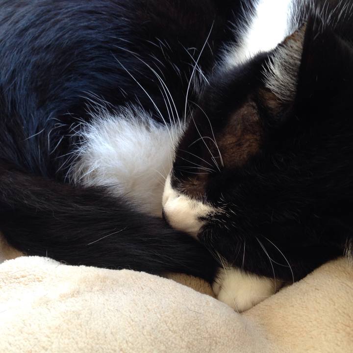 A7f1e81a 1ad1 46f3 9e44 489fcab32fa5