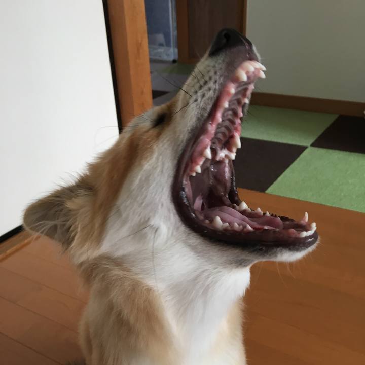 A7f2d2ab 1fd1 41ca 8a16 8c270d444e08