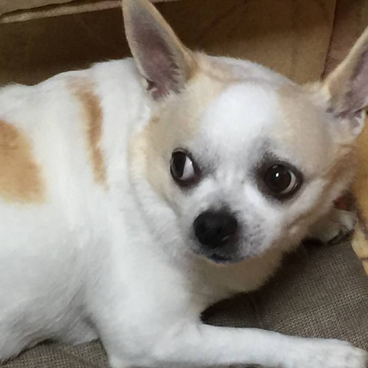 A7f2ed19 4e69 4412 9ac9 0f308276854d