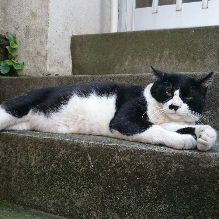 A7f34e8c ca43 4427 887f e271130e5bc7