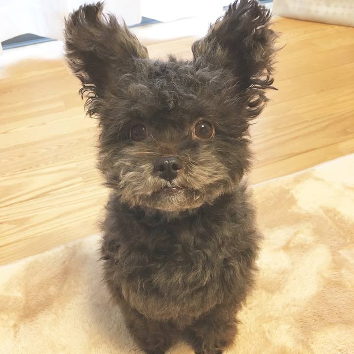 A7f39319 cdbe 41c0 a755 9d6f22ef5bb3