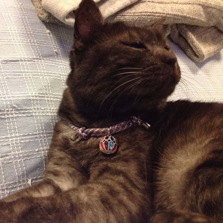 A7f4341f 3e8c 42ab 9b4e 7bb44d9acc94