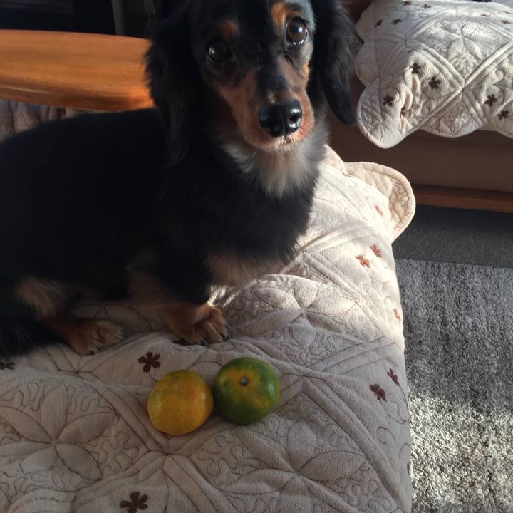 A7f57f46 655b 417c bf32 faf4f2a36704