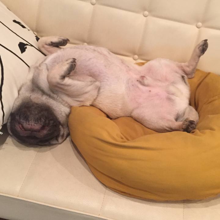 A7f5a4dd 6b7a 4720 9336 eee4ff6181c3