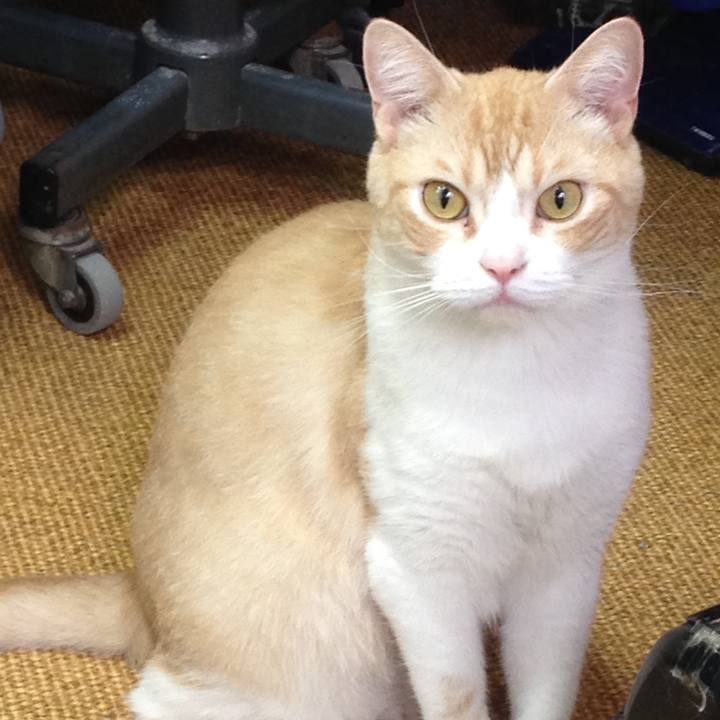 A7f66689 d957 46ea 88b2 1410ef6c2d4a