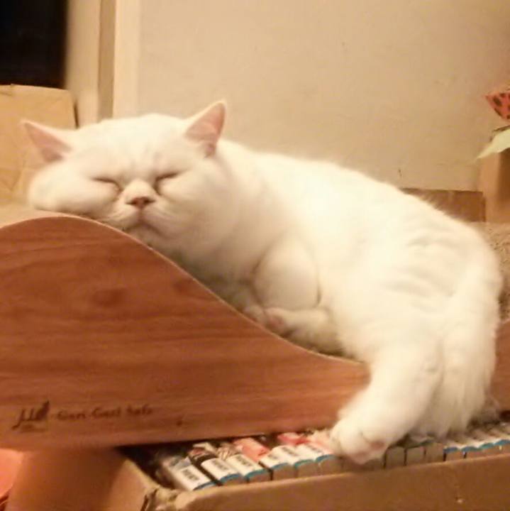 A7f674a9 b940 4074 9b68 c3e653cb0e8a