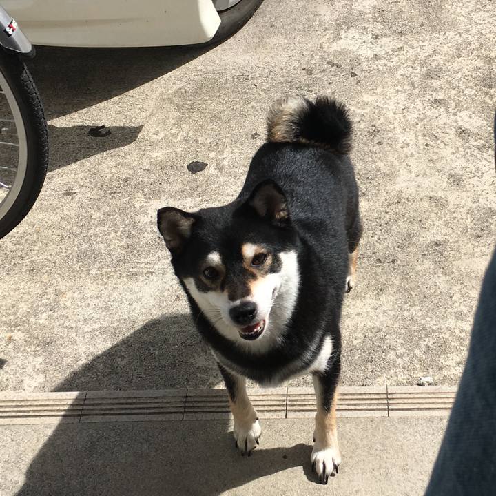 A7f685fe 3cef 49d5 b317 adc16bd08405