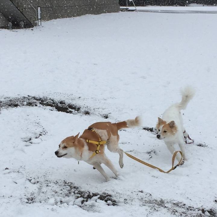 A7f6ef1c 0c38 4424 aff6 30fa74ee3060