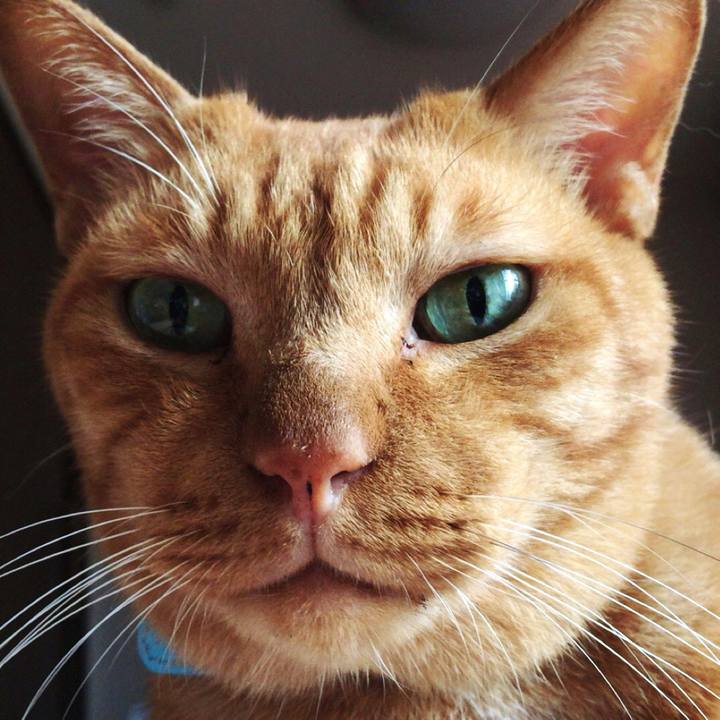 A7f71903 233b 4a4e 994f 24e932d1a2f7