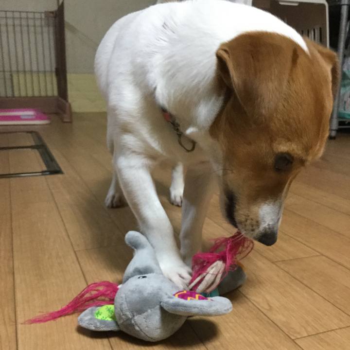 A7f73c62 93a1 4da8 8916 a104ca0879b0