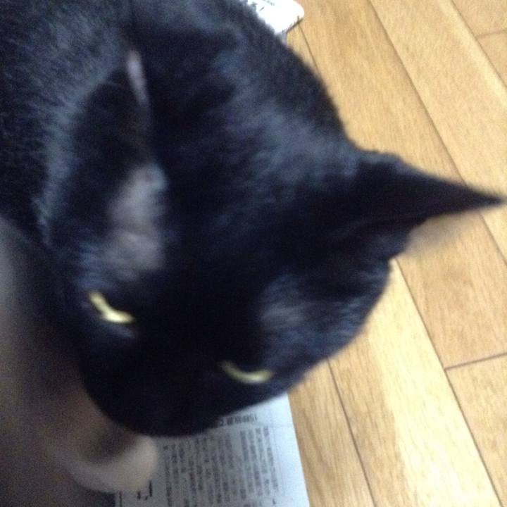 A7f79635 1b36 4de0 b6c8 c220942d5fc2