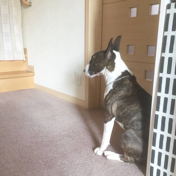 A7f8292a fc58 4a58 86df 0da8b741c6f1